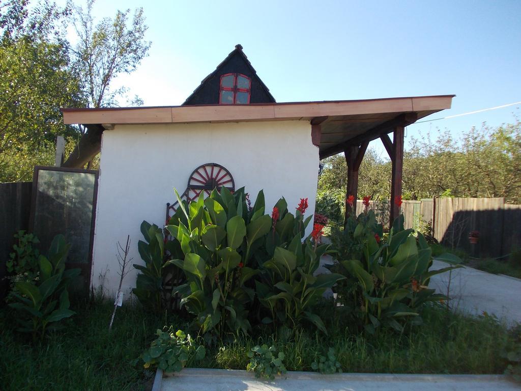 Villa Legenda Anotimpurilor Alma Exterior foto
