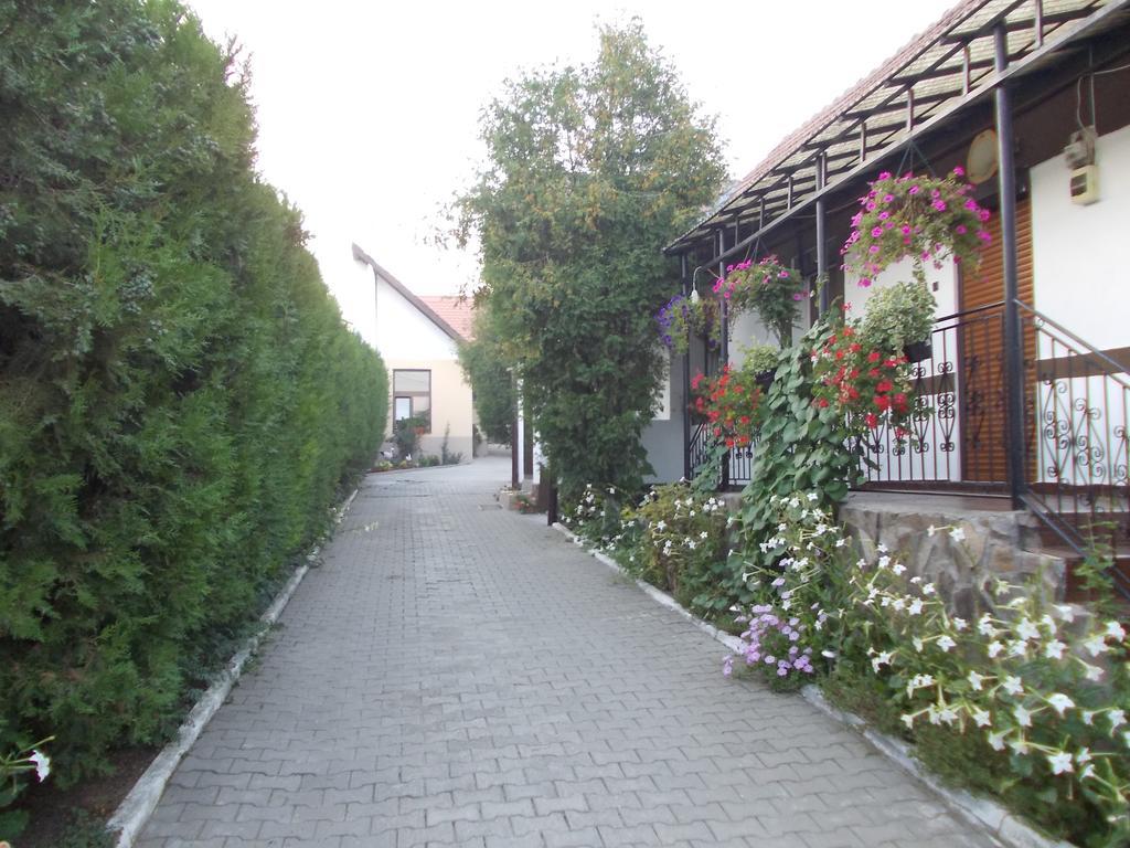 Villa Legenda Anotimpurilor Alma Exterior foto