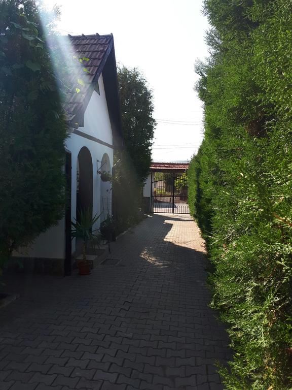 Villa Legenda Anotimpurilor Alma Exterior foto
