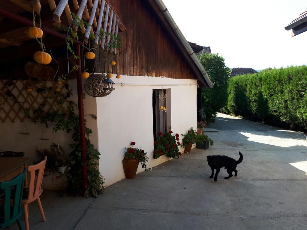 Villa Legenda Anotimpurilor Alma Exterior foto